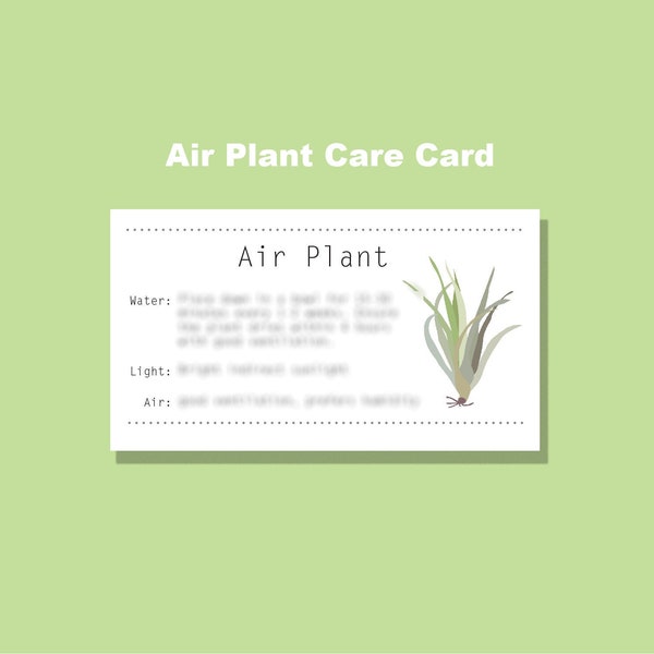 Air Plant Care Card, Digital download Infographic, Printable