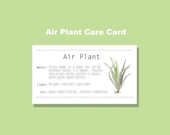 Air Plant Care Digital Download - Etsy