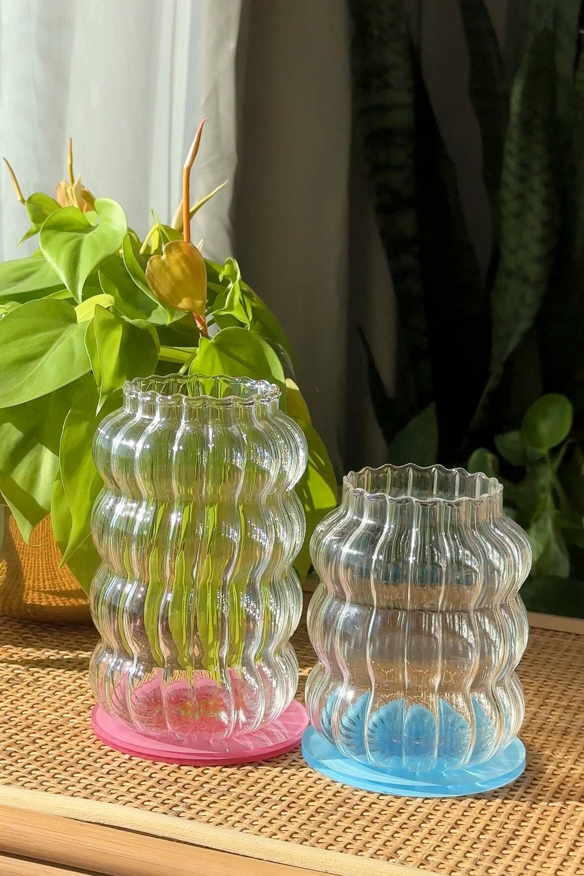 Double Wall Glass Wavy Cups - Colorful Trendy Cup - Glass Colorful Cups –  WORM