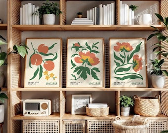 May include: Three framed art prints with botanical illustrations in orange, yellow, and green. The prints are labeled "MATISSE" and "06200, NICE FRANCE." The artwork is displayed on a wooden shelf with books, plants, and decorative baskets. A vintage radio sits on the shelf.