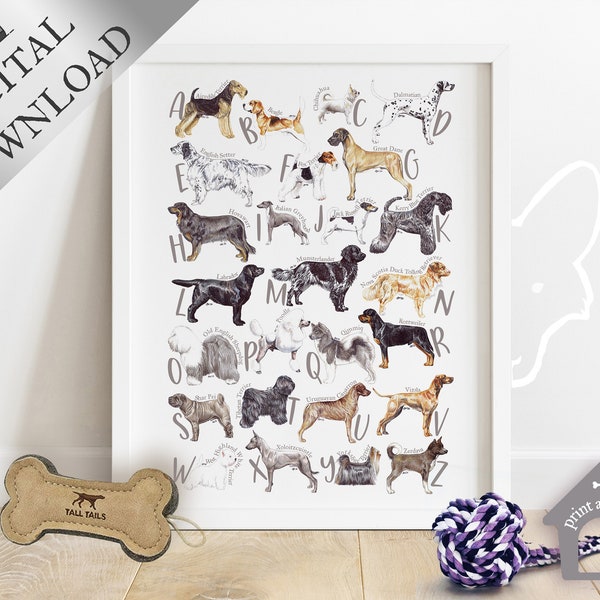 A - Z Pedigree Dog Alphabet Digital Poster Print / Alphabet of Purebred Dog Breeds to print at home / For Groomers, Vets and Breed Lovers
