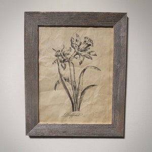 Flower Engraving Daffodil Aged Document Frame not included Primitive Rustic