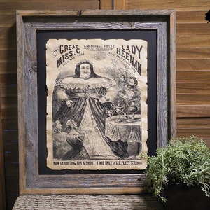 Great Lady Miss C Freakshow Posters Aged Document Frame not included