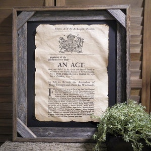 May include: Framed historical document with a weathered appearance, featuring ornate text and a royal crest. The document is set against a black background within a rustic, gray wooden frame. A potted plant with green foliage sits in the lower right corner.