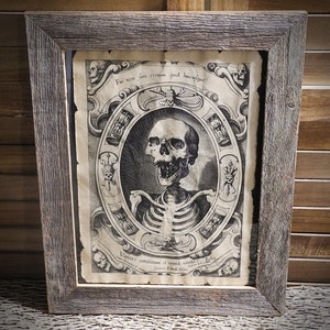 Skeleton Memento Mori aged Document Frame not included