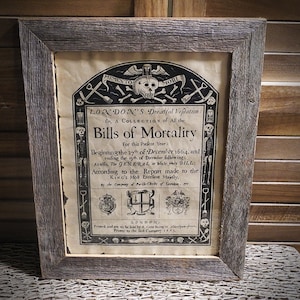 Plague Bills of Mortality Memento Mori Aged Document Frame not included