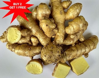 Op de afbeelding: Aromatische kurkuma-rhizomen, sommige doorgesneden om het gele binnenste te laten zien. Een rode ster met de tekst "BUY 2 GET 1 FREE". De tekst "AROMATIC TURMERIC / CURCUMA AROMATICA" staat onderaan.