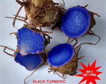 Black Turmeric / Curcuma caesia/ Kali haldi / Kari manjal/ 1 mother rhizome + free phytosanitary certificate /Contact whatsapp +919241228945