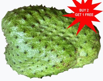 Pode incluir: Uma fruta de graviola verde com uma textura espinhosa e irregular. A fruta está isolada em um fundo branco. O texto "BUY 2 GET 1 FREE" está em uma forma de estrela vermelha.