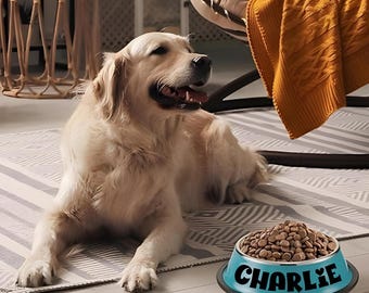 Personalized Dog Bowl: Custom Pet Name, Stainless Steel Dish
