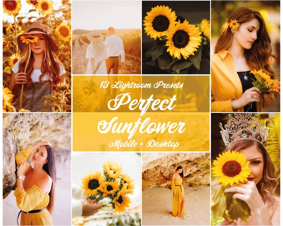 Sunflowers Lightroom Presets Mobile And Desktop Warm Summer Adobe Lightroom Presets Yellow Orange  Golden Hour Lightroom Presets