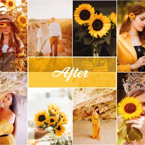 Puede incluir: Un collage de im&aacute;genes con personas y girasoles. Las im&aacute;genes est&aacute;n dispuestas en una cuadr&iacute;cula. La fila superior presenta a una mujer sosteniendo un girasol, una pareja caminando por un sendero y un ramo de girasoles en un jarr&oacute;n. La fila del medio presenta la palabra "Despu&eacute;s" en una pancarta amarilla. La fila inferior presenta a una mujer de pie frente a una formaci&oacute;n rocosa, un ramo de girasoles sostenido por una mano y una mujer sosteniendo un girasol frente a su rostro.
