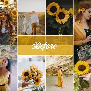 Puede incluir: Un collage de im&aacute;genes con personas que llevan ropa amarilla y sostienen girasoles. Las im&aacute;genes est&aacute;n dispuestas en una cuadr&iacute;cula con la palabra "Antes" en el centro.