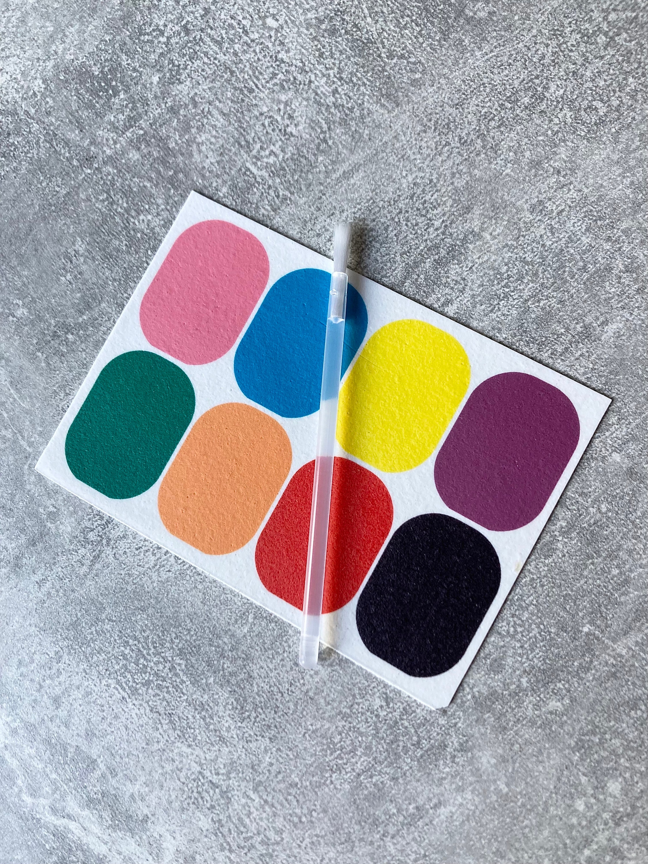 8 X Edible Paint Palettes for Paint Your Own PYO Cookies & Etsy UK