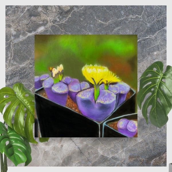 Blooming Stones Print - Colorful Lithops Succulent Print of Original Painting 8x10, 10x10 or 12x12