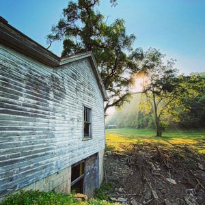 Photo print Sunrise through the trees over an abandoned house.