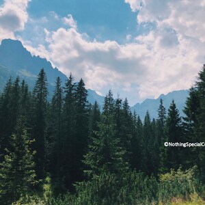 Peut inclure: Vue d'une for&ecirc;t dense d'arbres &agrave; feuilles persistantes avec une cha&icirc;ne de montagnes en arri&egrave;re-plan. Le ciel est bleu avec des nuages blancs.