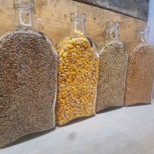 Whiskey Grains: Corn, Rye, Barley, Wheat - Authentic Mash Bill Ingredients