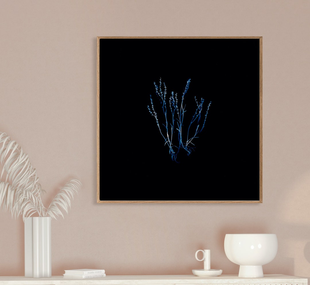 Rumex, Instant Download, Scanography, Herbarium, Wall Art, Botanical ...