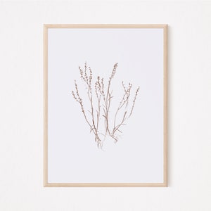 Rumex, Instant Download, Scanography, Herbarium, Wall Art, Botanical Photography, Brown, Sepia, JPEG