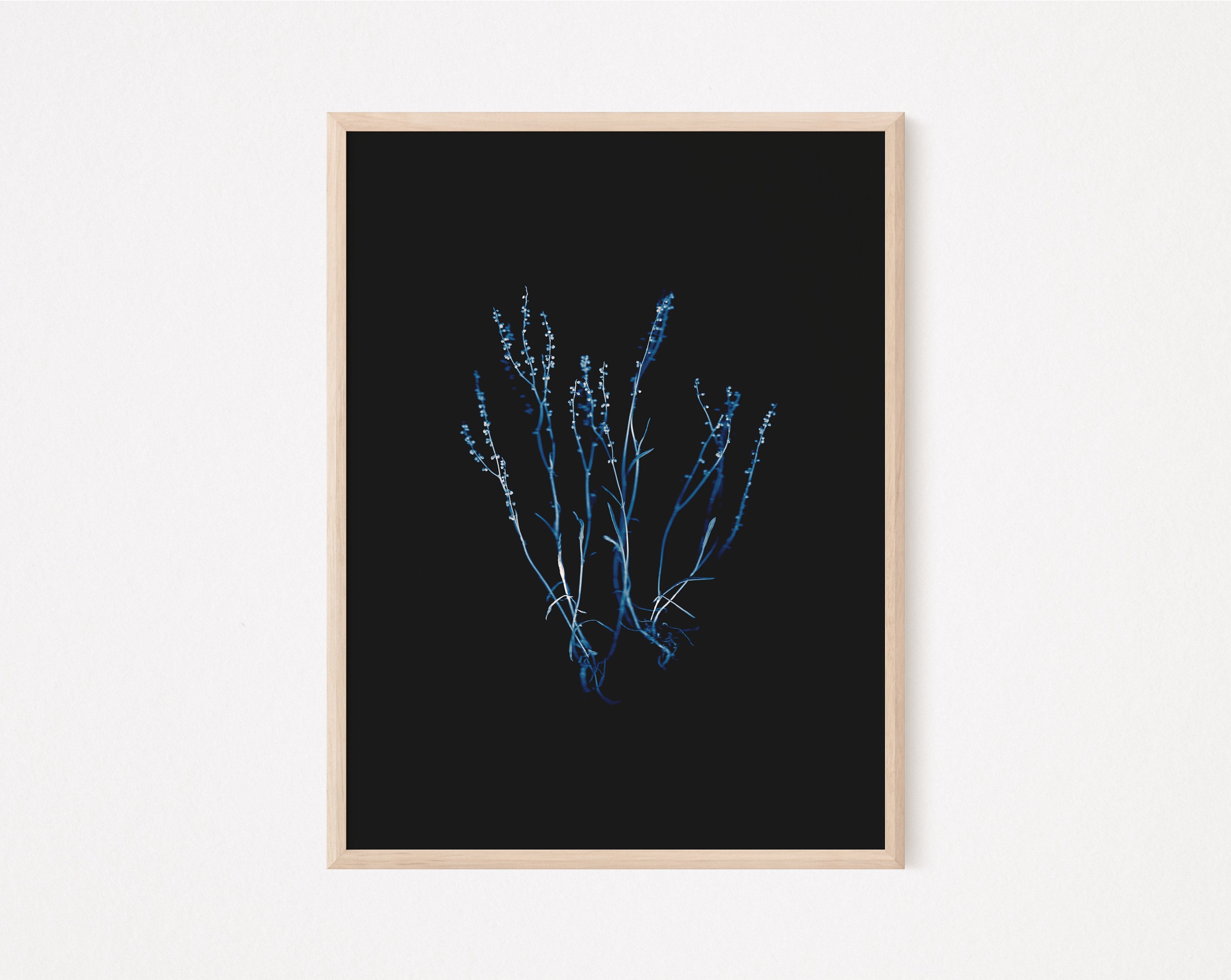 Rumex, Instant Download, Scanography, Herbarium, Wall Art, Botanical ...