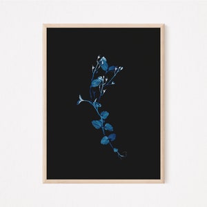 Veronica Montana, Instant Download, Scanography, Herbarium, Wall Art, Botanical Photography, Ultramarine, Blue, Black Background, JPEG
