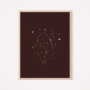 Stellaria Graminea, Stitchwort, Instant Download, Scanography, Herbarium, Wall Art, Botanical Photography, Sepia, Brown, JPEG