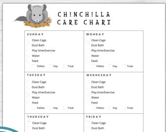 Chinchilla Care Chart Printable Download