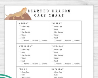 Bearded Dragon Care Sheet