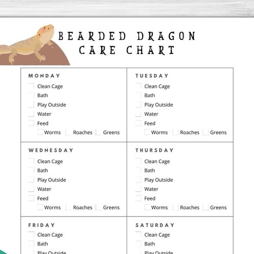 Printable Bearded Dragon Care Sheet