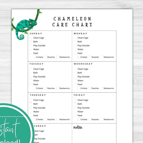 Chameleon Care Chart Printable Download