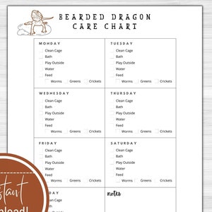 Bearded Dragon Care Chart Daily Log Printable Download Etsy