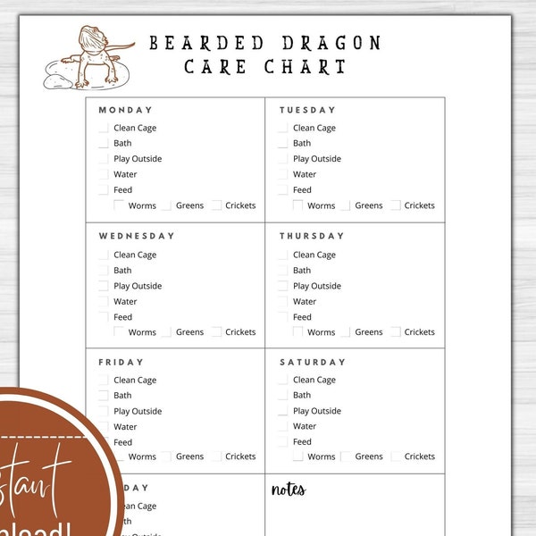 Bearded Dragon Calendar Etsy