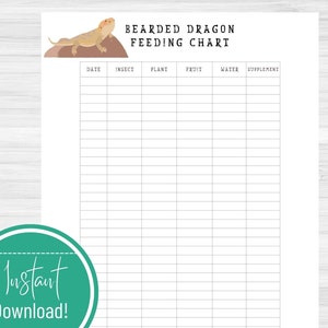 Baardagaam maandelijkse voedingsschema afdrukbare download