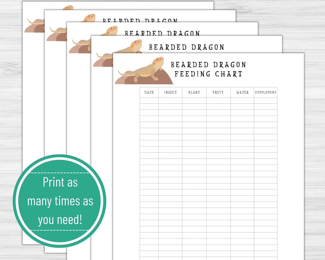 Bearded Dragon Monthly Feeding Chart Printable Download - Etsy