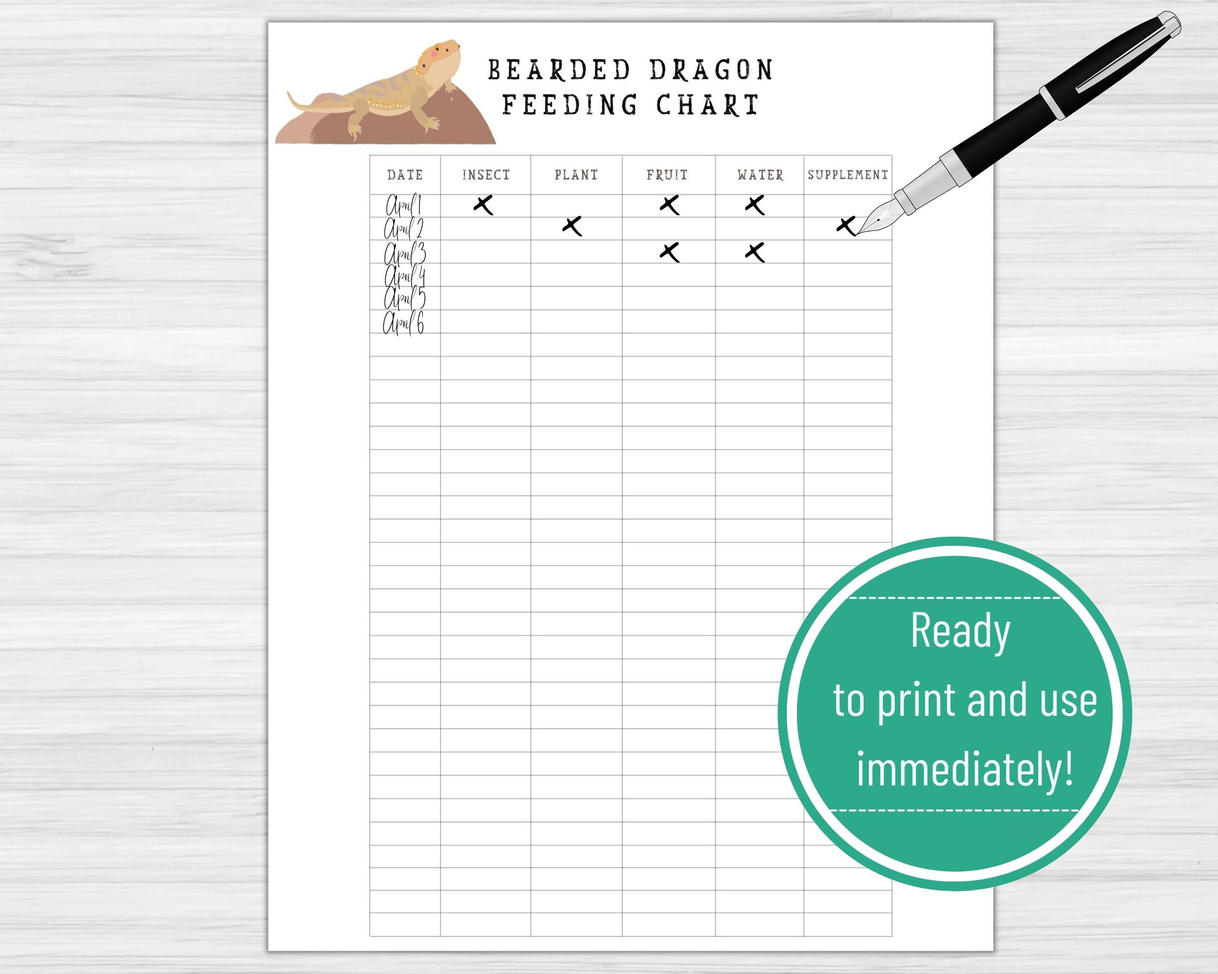 Image result for Bearded Dragon Monthly Feeding Chart Printable Download - Etsy