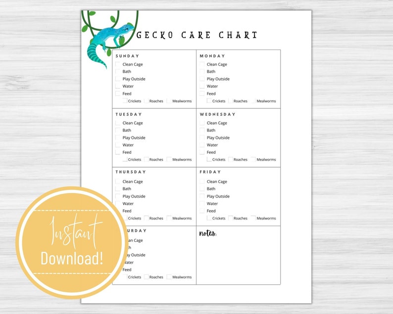 Gecko Care Chart Printable Download - Etsy
