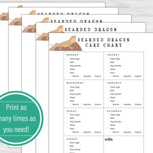Feeding Schedule Template Daily Routine Checklist Bearded Dragon Care Chart Printable Pet Tracker Reptile Owner Responsibility Guide PDF Download Lizard Care Organization System Teaching Kids Pet Management Track Daily Tasks Monitor Care