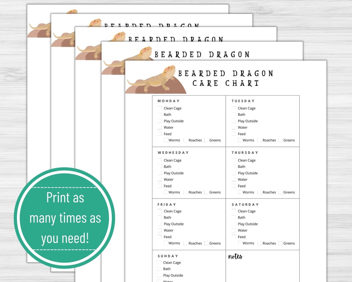 Bearded Dragon Care Chart Printable Download, Care Tracker, Daily Care ...
