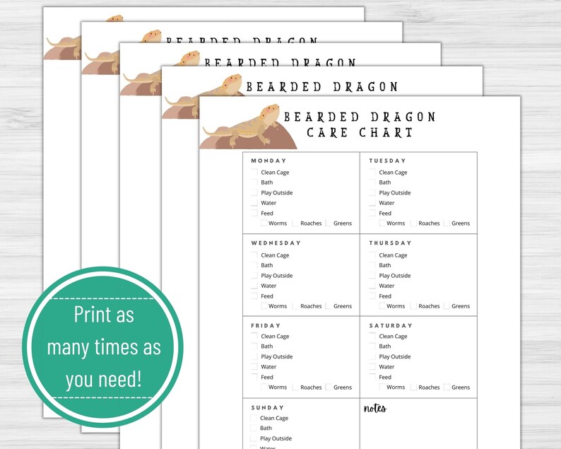 Bearded Dragon Care Chart Printable Download, Care Tracker, Daily Care ...