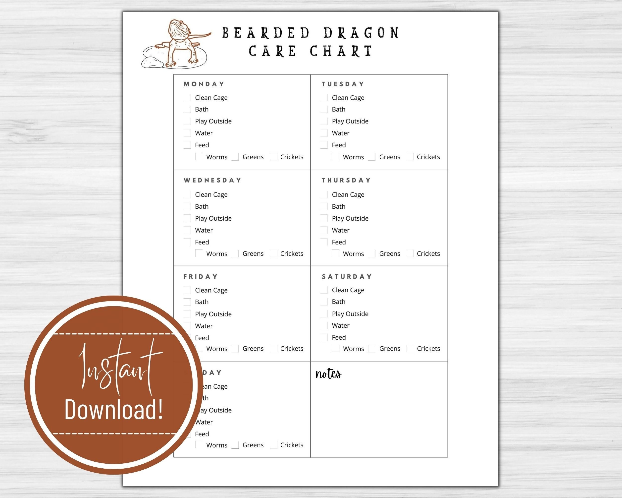 Bearded Dragon Care Chart Daily Log Printable Download - Etsy