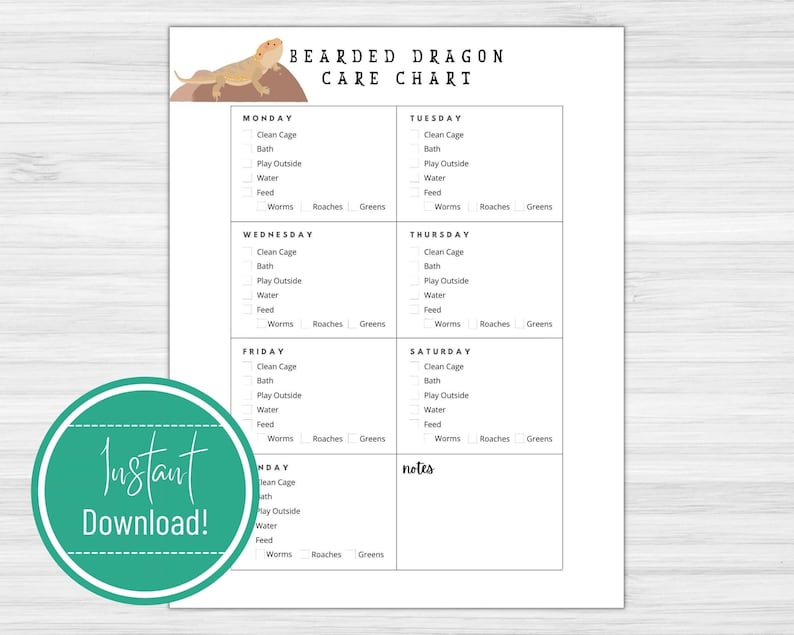 Reptile Owner Responsibility Guide Bearded Dragon Care Tracker Printable Pet Care Chart Daily Feeding Schedule Template Routine Checklist PDF Download Instant Access Lizard Care Organization Teaching Kids Pet Management System Track Daily