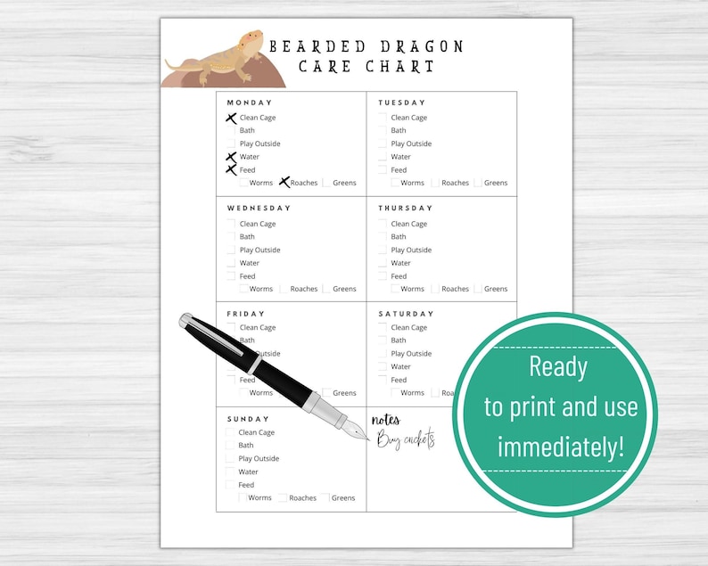 Printable Pet Tracker Template Bearded Dragon Daily Care Chart Feeding Schedule Routine Checklist Reptile Owner Organization Guide PDF Download Teaching Kids Responsibility System Lizard Care Management Track Pet Tasks Monitor Daily Routine