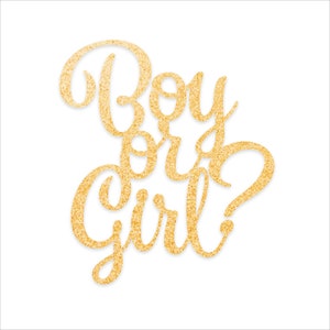 Maschio o femmina? / File vettoriale digitale / SVG, PNG, JPG / Per rivelare il genere, Baby Shower, Cake Topper, Decorazioni, Modello di taglio