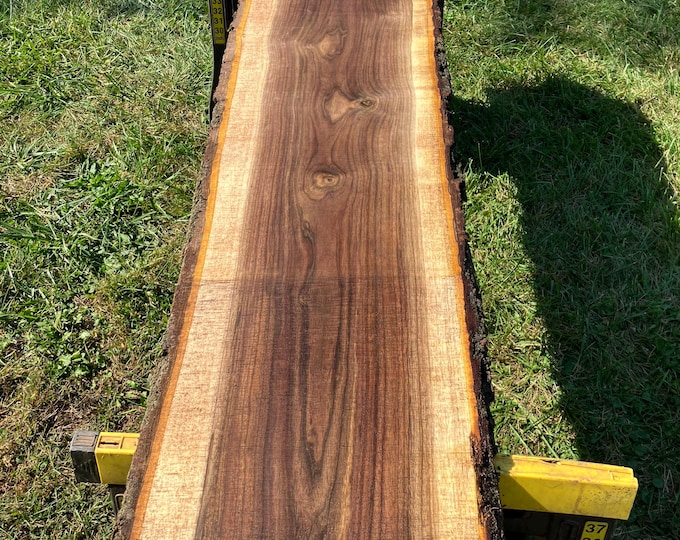 Black Walnut Wood Slab, Rustic Board for Shelves, Cutting Boards