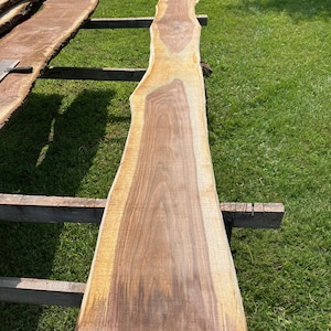 May include: A live edge wood slab with a natural, irregular shape. The wood features a rich, dark brown center with lighter, golden-brown edges. The slab rests on a wooden support structure, showcasing the natural grain and texture.