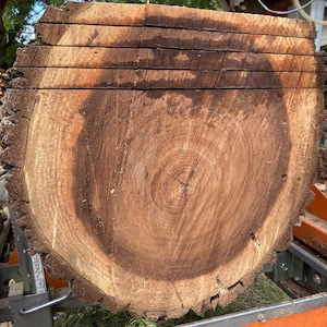 May include: A cross-section of a freshly cut tree trunk, showcasing the natural wood grain and growth rings. The wood has a rich brown color with darker areas, and the edges show the rough texture of the bark. The cut is clean, revealing the tree's age and structure.