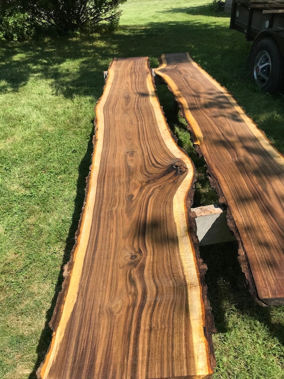Live edge wood slab. Raw edge wood slab. Live Edge Walnut Wood. Live
