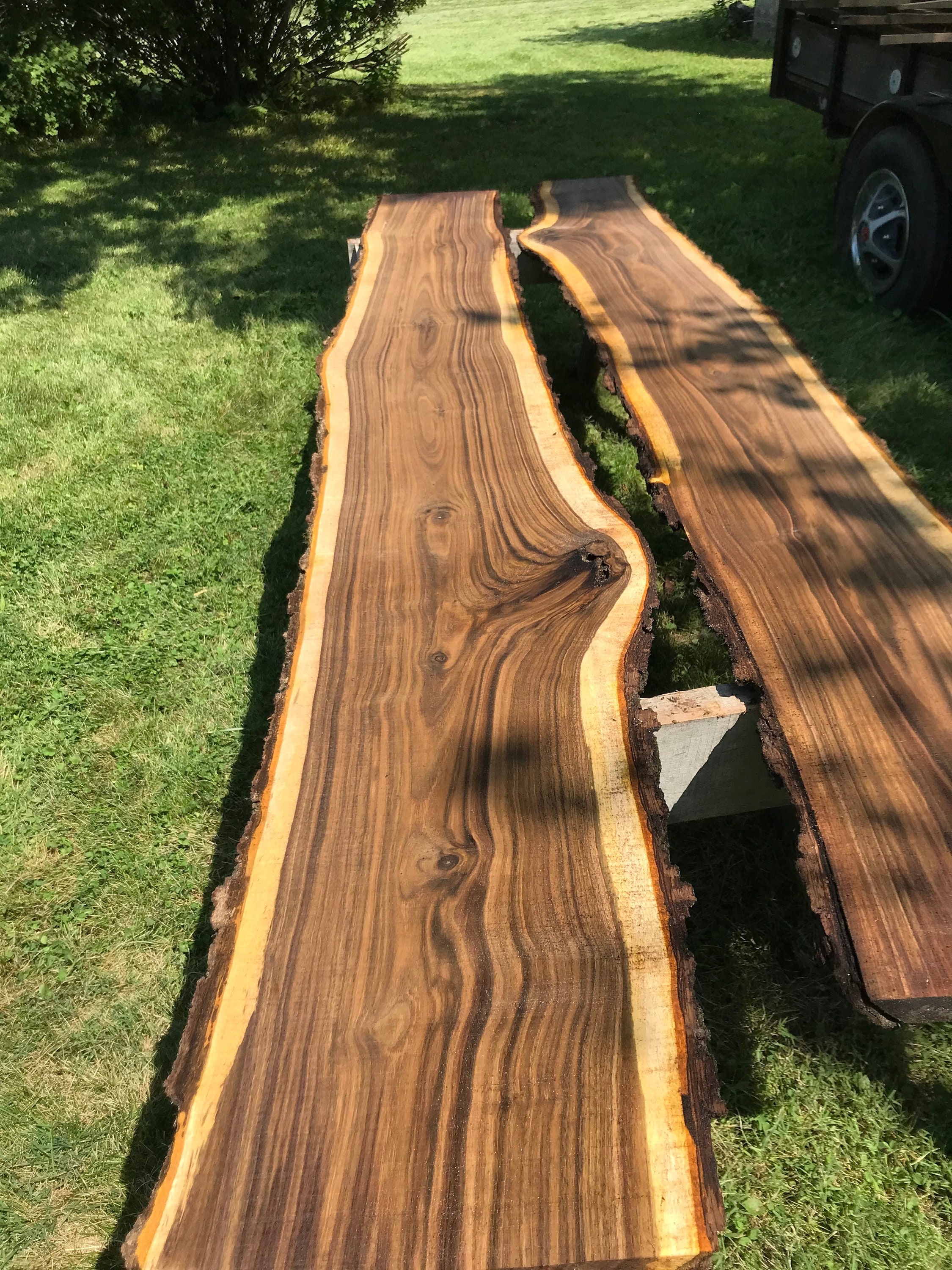 SCW Black Walnut Live Edge Slabs, Stumps Custom Wood