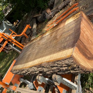 May include: A large, freshly cut section of a tree trunk, showcasing the natural wood grain and bark. The wood is a rich brown color with lighter edges. The log is resting on an orange sawmill.